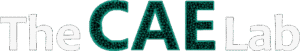 the cae lab