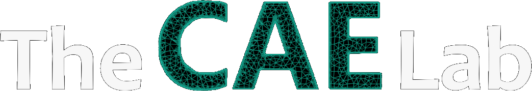 the cae lab